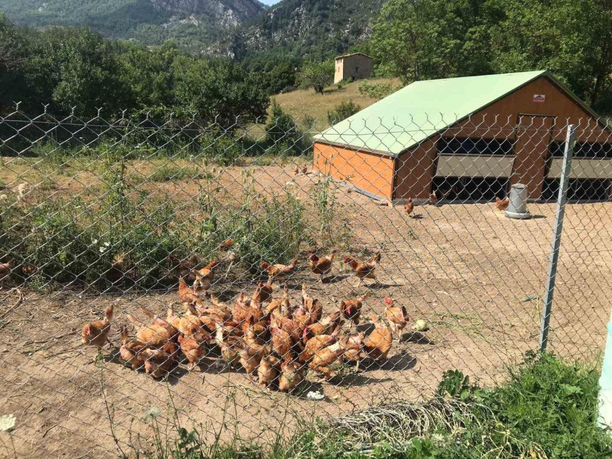 Camping La Ferme De Castellane Exterior photo